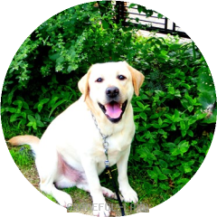 いつもニコニコ明るい笑顔